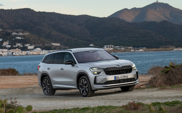 
            Оцените эти Hyundai, Skoda и VW. Топ-6 «параллельных» новинок в России
        