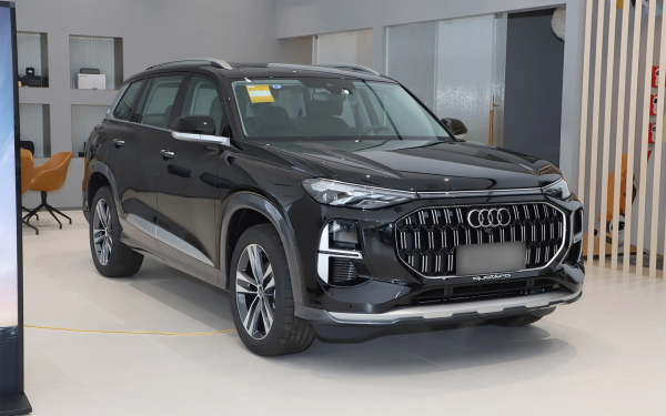 
            В Россию привезли кроссоверы BMW, Audi и Mercedes из КНР. Нюансы и цены
        
