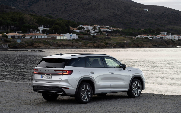 
            Оцените эти Hyundai, Skoda и VW. Топ-6 «параллельных» новинок в России
        